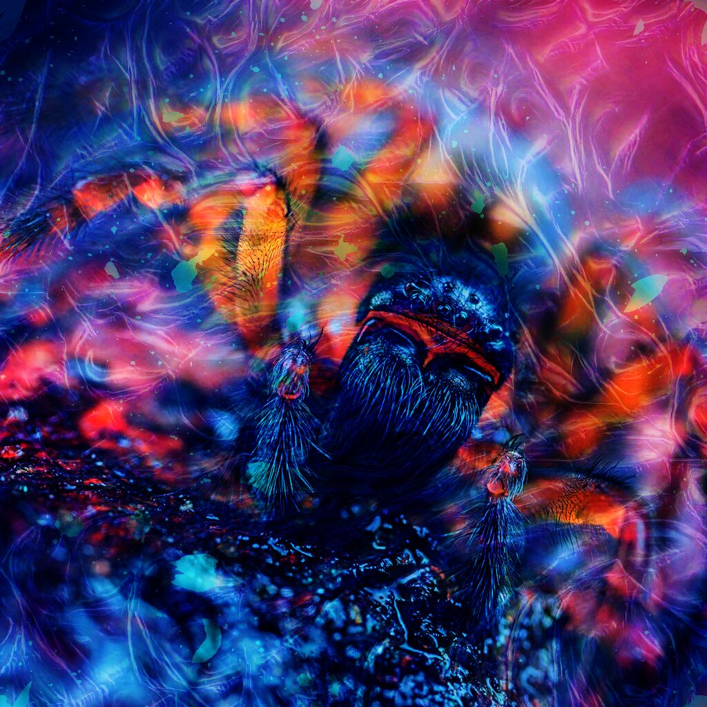 phantasmagoric wavering spider, mostly in blues, oranges, and pinks